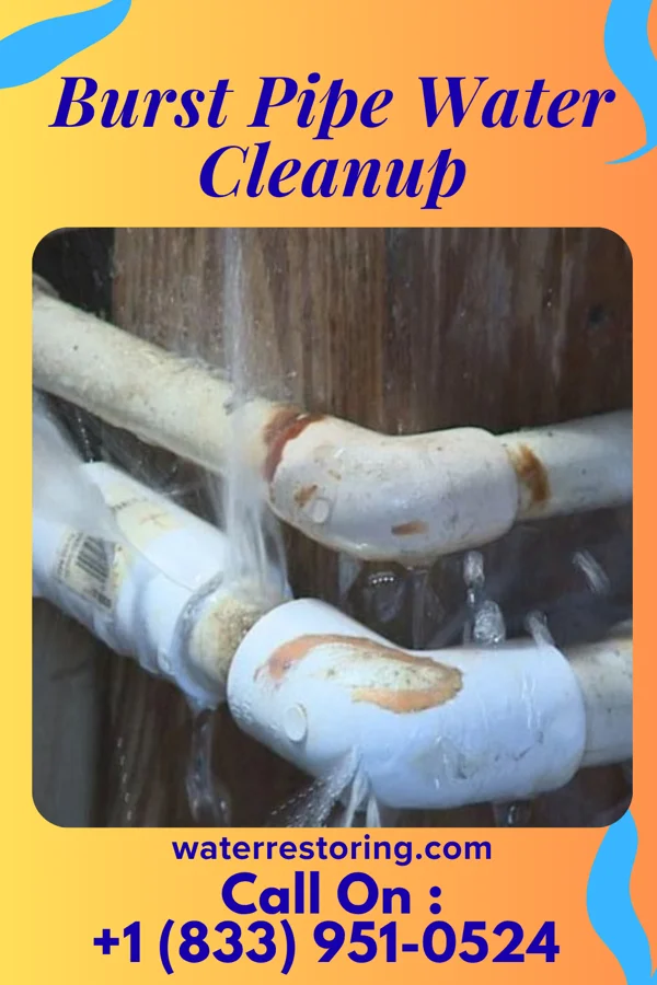 Burst Pipe Water Cleanup in Mount Ephraim, NJ