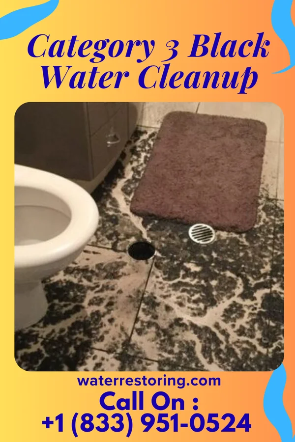 Category 3 Black Water Cleanup in Mount Ephraim, NJ