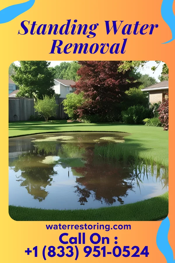 Standing Water Removal in Mount Ephraim, NJ